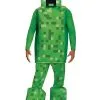 Disguise Prestige Adult Minecraft Creeper Costume